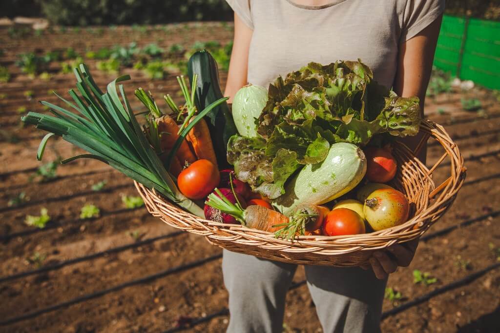 Biomilt. Cesta Ecológica de Productos Locales