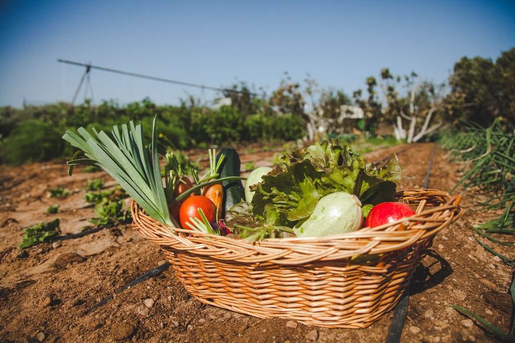 Biolmit. Cesta Ecologica de Productos Locales