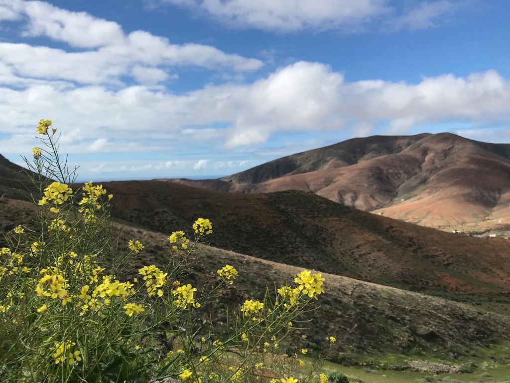 FuerteScout, Ausflüge, Wissenschaftsrouten und Location Scouting